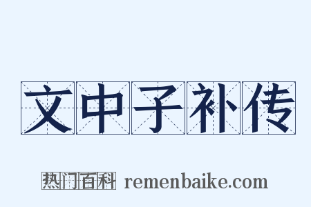 文中子补传是什么意思的图片